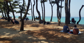 일요일 춘천 강릉 한낮 기온 30도 육박