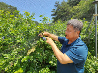 [이슈현장] 한밭마을 건설현장 악취·먼지 주민불편