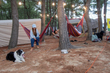 [현장컷] 고성 공현진해변 반려문화 예술축제 개최