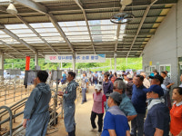 [이슈현장] 강릉서 도내 첫 염소경매시장 개장