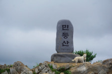 [장보영의 정상에서 쓴 편지] 16. 민둥산 : 여름, 검은 심연 앞으로