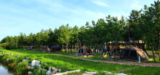 야영 천국 고성군 캠핑장 100면이상 확충… 캠핑레저도시 발전 기대