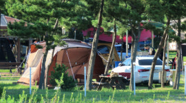 고성군 캠핑객수 점차 증가…캠핑레저도시 발전 기대
