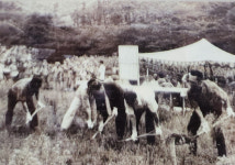 동해 묵호고 개교 70주년, 지역 대화합 축제 열린다