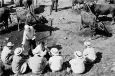 동해 북평5일장 추석 대목장 열려…김진태 강원도지사 장보기 행사