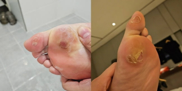대한배드민턴협회, 후원사 광고 모델로 논란...안세영 선수 등 무상 동원 논의