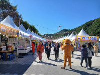 우(牛)아한 휴식 횡성한우축제 개막…먹거리·문화·체험 풍성