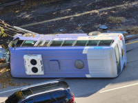 춘천 마을버스 가로수 들이받고 전도… 인명피해 없어