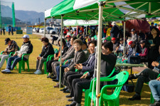 [시니어 현장] 설악권 4개 시군 그라운드골프로 화합 다졌다