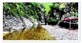 [WE+] 삼척 낭만 가을캠핑 … 바다가 좋아? 계곡이 좋아?