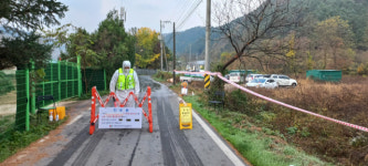 홍천군 양돈농장서 ASF 발생…약 2500마리 살처분