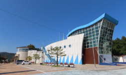 고성 화진포해양박물관, 해양생태 체험장으로 탈바꿈