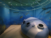 고성 화진포해양박물관, 해양생태 체험장으로 탈바꿈