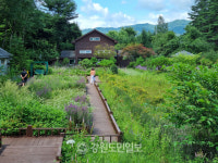 수능 스트레스 날리자 평창 자생식물원 등 수험생 대상 무료입장 서비스