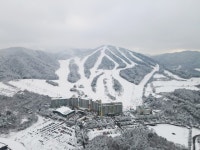 횡성 웰리힐리파크 스키장 6일 전면 개장