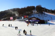 강원랜드 하이원 스키장 개장