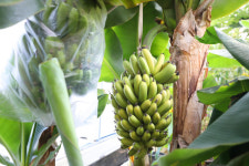 [돌아오는 강원 - 특별함 있는 강원도 농어촌살이] ⑬ 원주 원프리카 이학원 대표