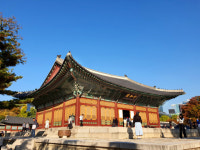 덕수궁 중화전·석어당·함녕전 내부 관람한다