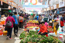 설악산 아랫마을 양양장터서 오감으로 봄을 체험하다