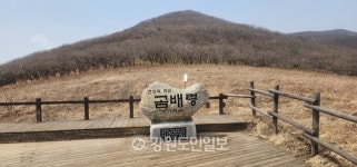 자세히 보면 더 예쁘다 봄날 인제 곰배령에선 한계령풀 등 향연