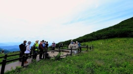 인제 곰배령 제한적 탐방, 23일 원시림 열린다