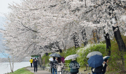 일요일 산발적 봄비, 강원 북부 최대 40mm…돌풍·벼락 동반 유의