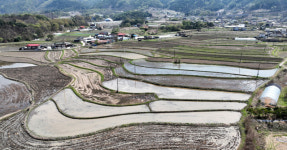 논농사 본격 준비