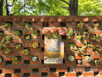 강릉 포남2동 주민 자발참여 담장 조성 꽃보다 더 예쁜 당신