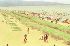 40여년 전 해수욕장을 담다…국내 최대 백사장 동해 망상 추억속으로 GO GO
