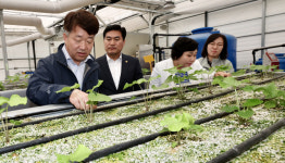 도농업기술원장 철원군농기센터 방문