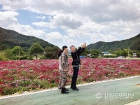 홍천 수타사 가는길 작약꽃 활짝 관광객 손짓