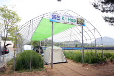 제2회 홍천 황금보리축제, 보리울마을에서 성황리 개최