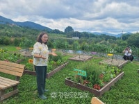 강원도농업기술원, 옥수수 등 활용 강원형 치유농업 모델 박차