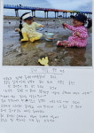 제23회 동강국제사진제 전국초등학생사진일기 공모전에 꽃게 멸종을 막은 하루 대상