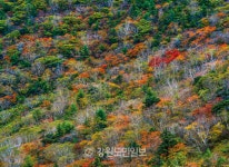 사진작가 노남호 태백중 교장의 함백산 30년 기록