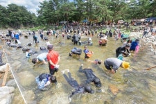 [주말 픽!] 청정 진부령 계곡서 노니 신선이 따로 없네요