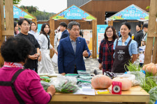 찾아가는 양구청춘마켓