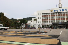 평창경찰서 농산물 도난 방지 위해 주차장 농산물 건조장 운영
