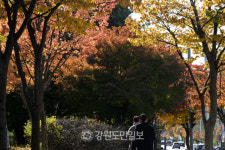 수요일 완연한 가을 날씨…내륙 일부 아침기온 영하로 떨어져