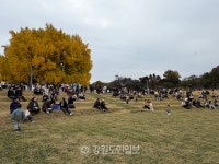 만추의 오후, 원주 반계리 은행나무 아래 음악이 물들다