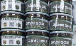 철원디엠지고추냉이 농촌진흥청 우수 가공제품 선정