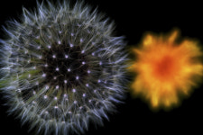 내일부터 사진동호회 안개마을 22회 정기전