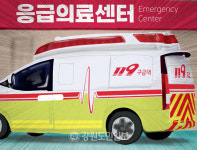 가짜 구급차 전수조사 결과 비용 과다 등 규정 위반 94건 적발