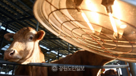 주말까지 강추위 이어지다 점차 풀려…건조·강풍에 화재 주의