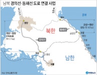 [다시 평화, 강원도가 경쟁력이다] 5. 남북도로