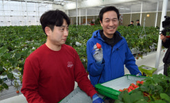 우상호 본격 본선 행보 vs 김진태 경선·단수공천 갈림길