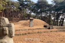 [남궁창성의 인문학 산책] 왕사남,  생육신 원호(元昊)