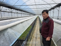 [매거진 화천] 기름밤나무 1000그루 무료 나눔...꽃으로 뒤덮인 접경지 기대