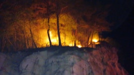 영월 법흥리 야산 산불...진화인력 투입 진화중