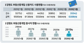강원 부동산중개업 신용카드 사용액 절반 뚝
